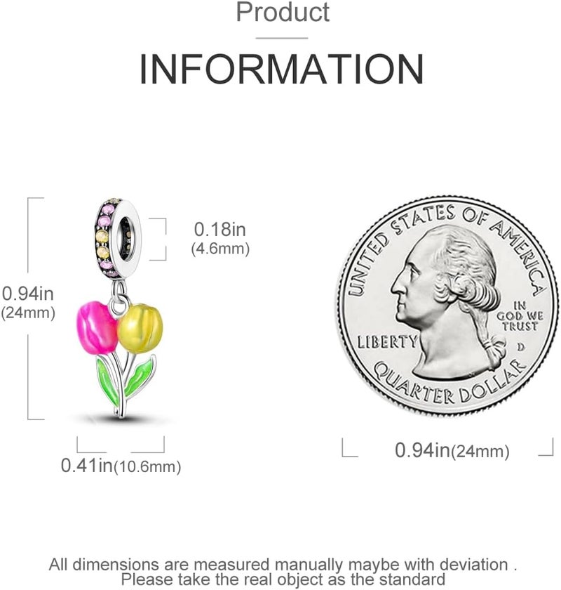 Hapour Store 925 Sterling Silver Charms for Bracelets Necklace European Jewelry Pendant Beads Charm for Women Mom - Image 3